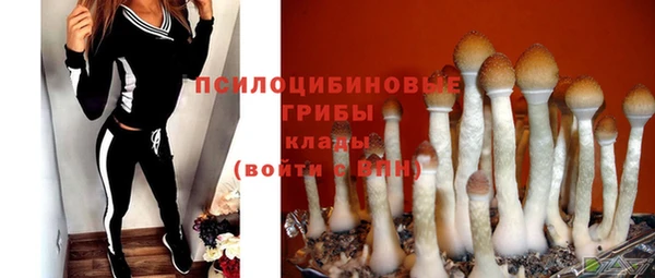 марки nbome Гусиноозёрск