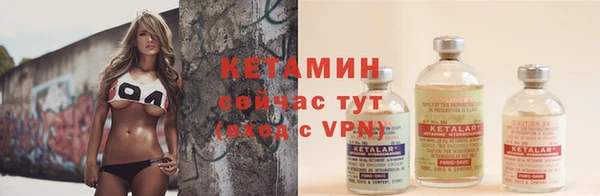 герыч Дмитров